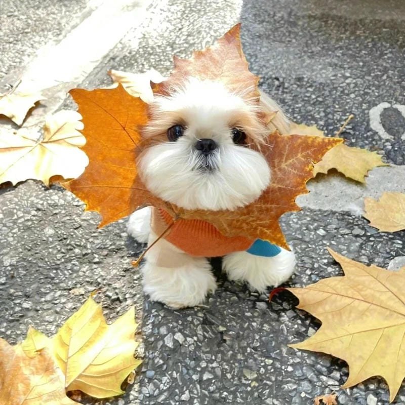 abstract art pfp chill unique style