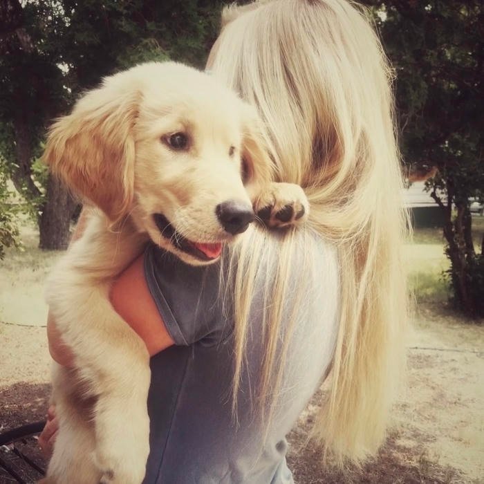 aesthetic pfp normal for everyday online presence