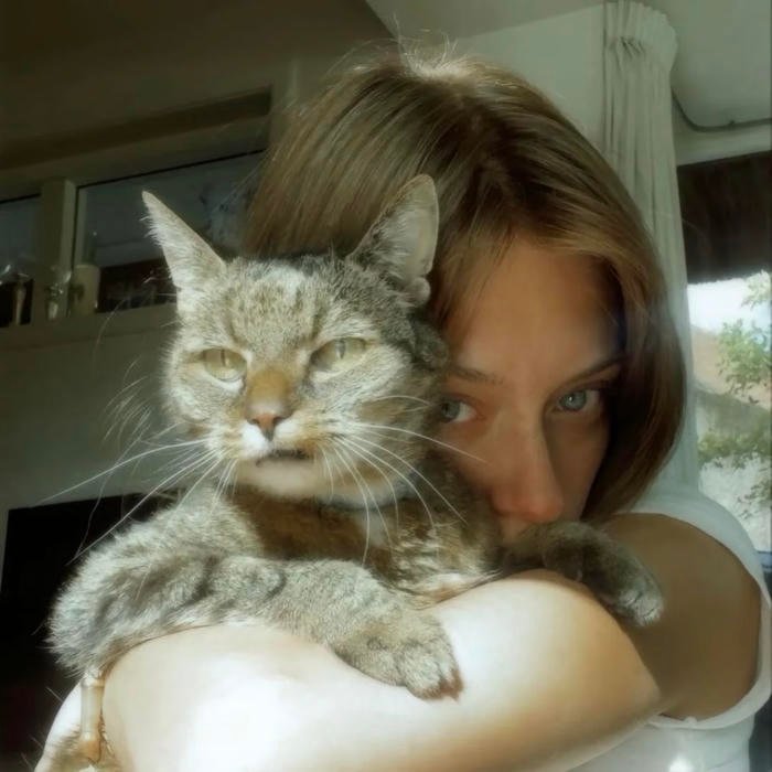 aesthetic pfp normal reflecting regular internet taste