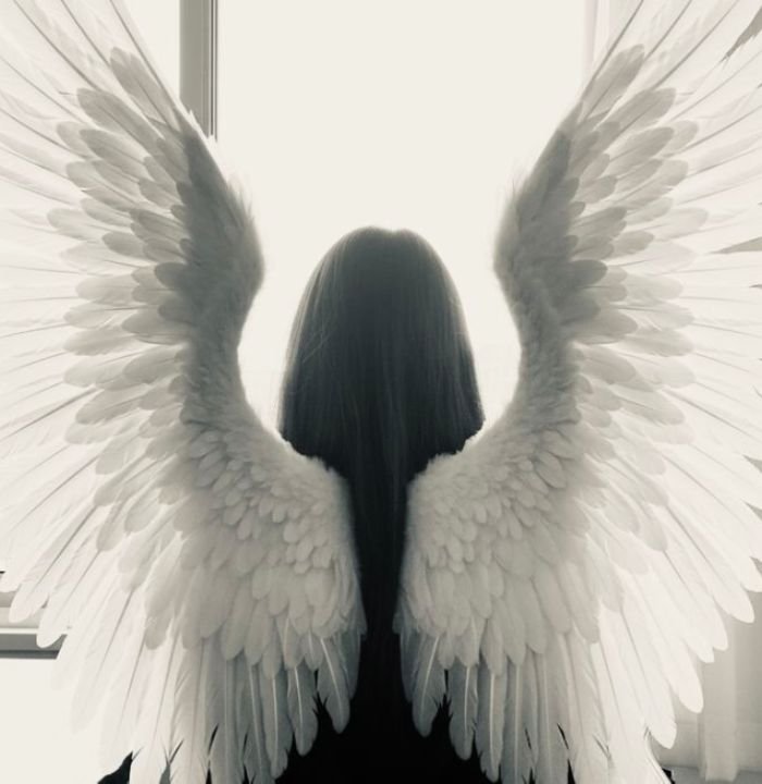 angel pfp centered on angelic symbolism clearly