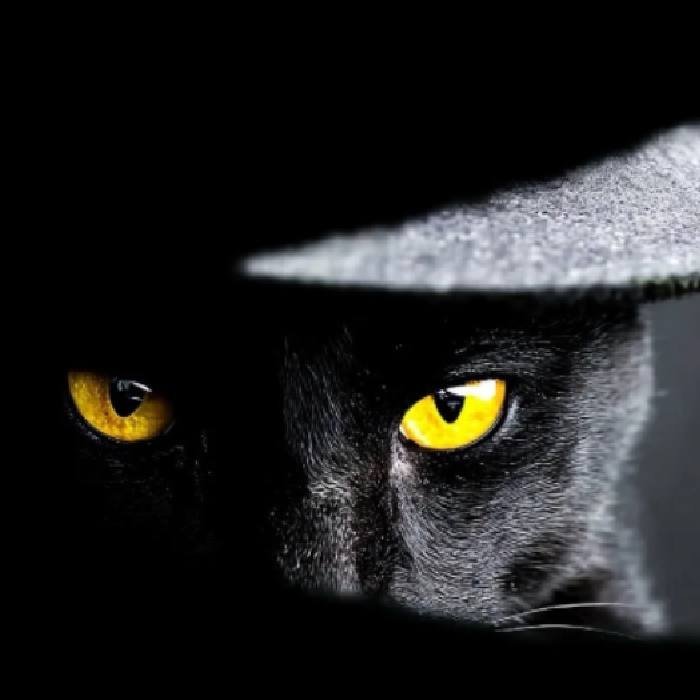 black discord pfp made for night style profile