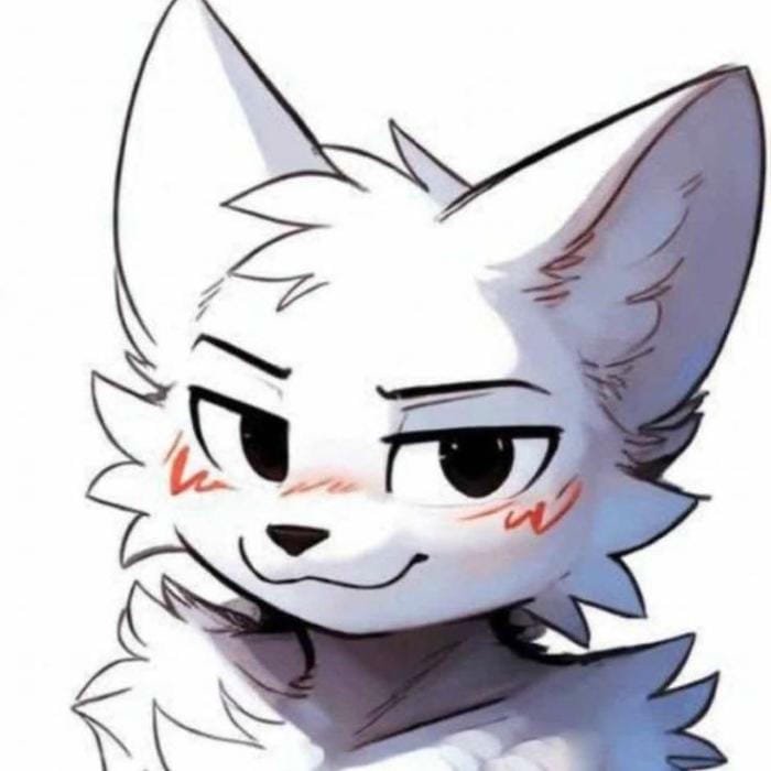 boykisser pfp drawn in simple cartoon lines