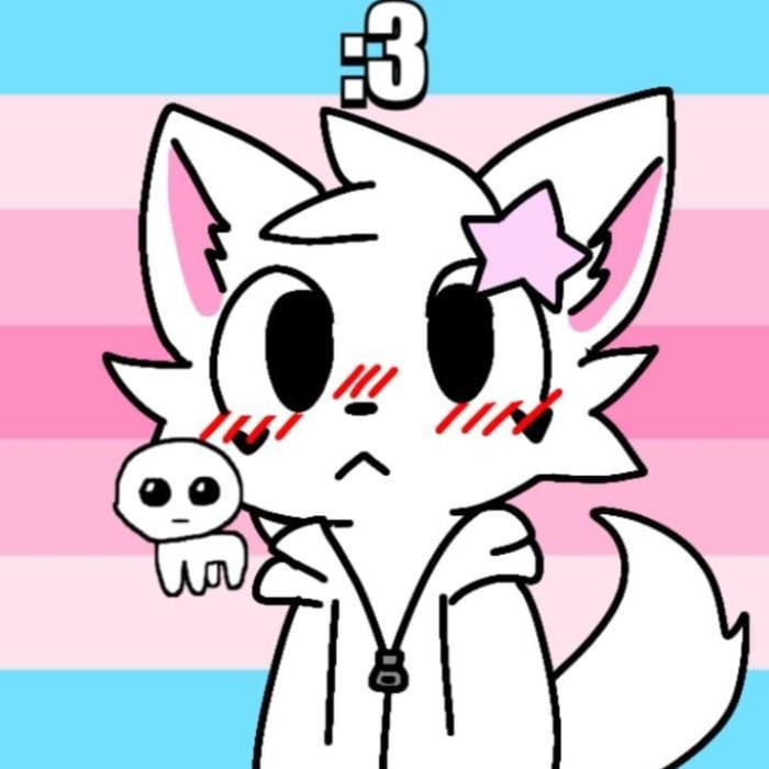 boykisser pfp with signature meme smile