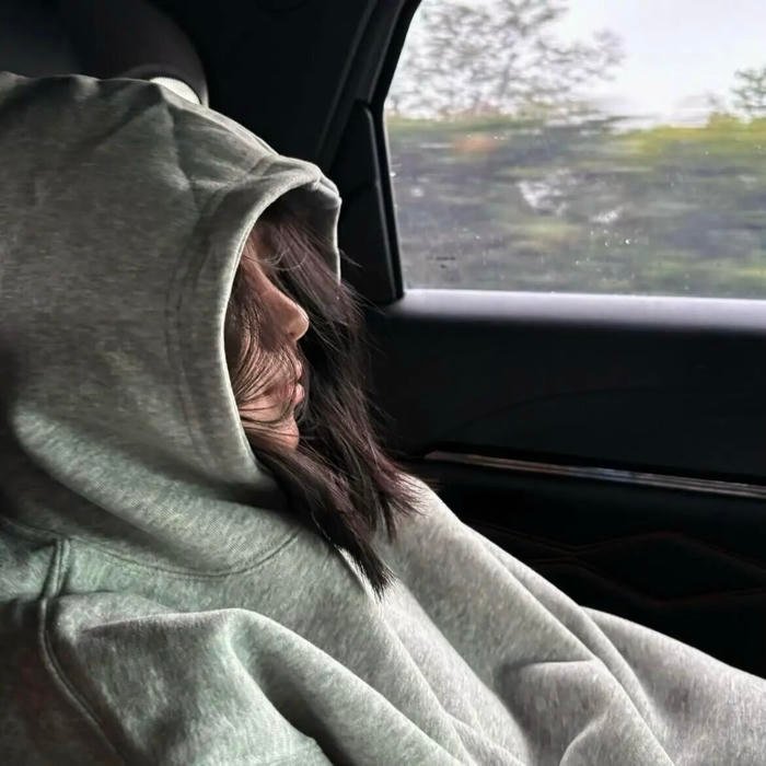 calm pfp choice meant to soften daily interactions