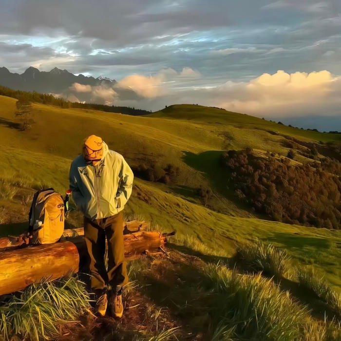 calm pfp something gentle to look at every day online