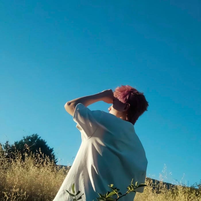 calm pfp visual pause inside a noisy digital space