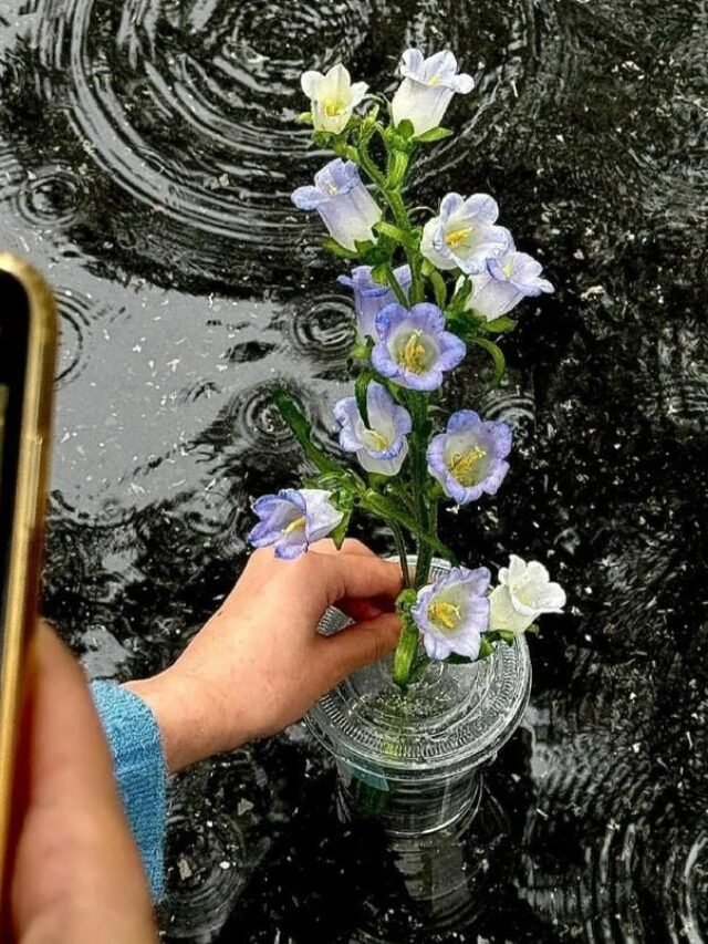 178+ PFP chill collection for peaceful and cozy profiles