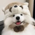 cute dog pfp designed for friendly profiles