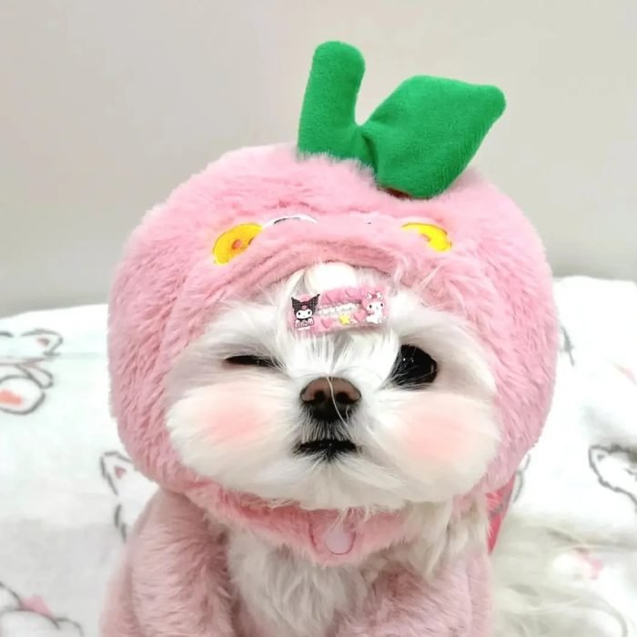 cute dog pfp highlighting a joyful dog look