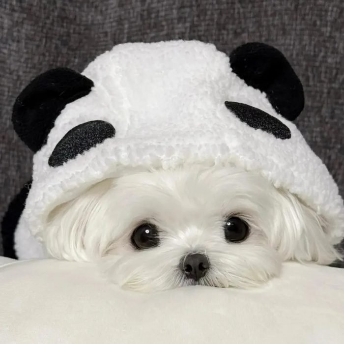 cute dog pfp with lovable puppy charm