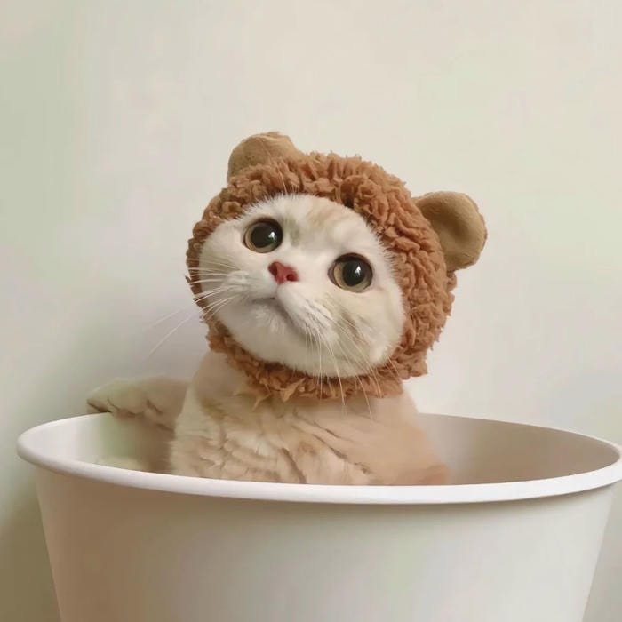 cute kawaii pfp pastel aesthetic