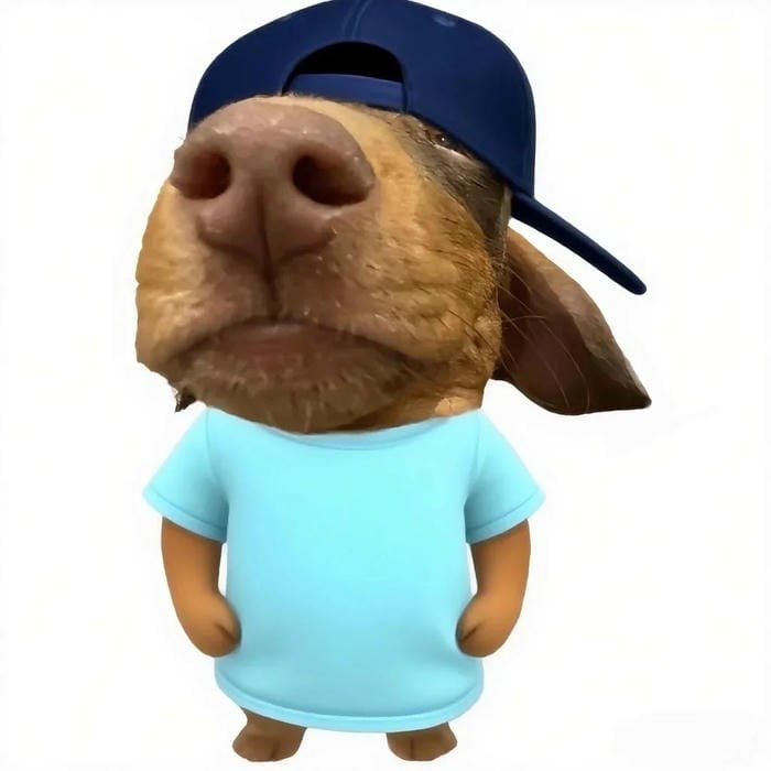 dog goofy pfp chaotic funny vibe