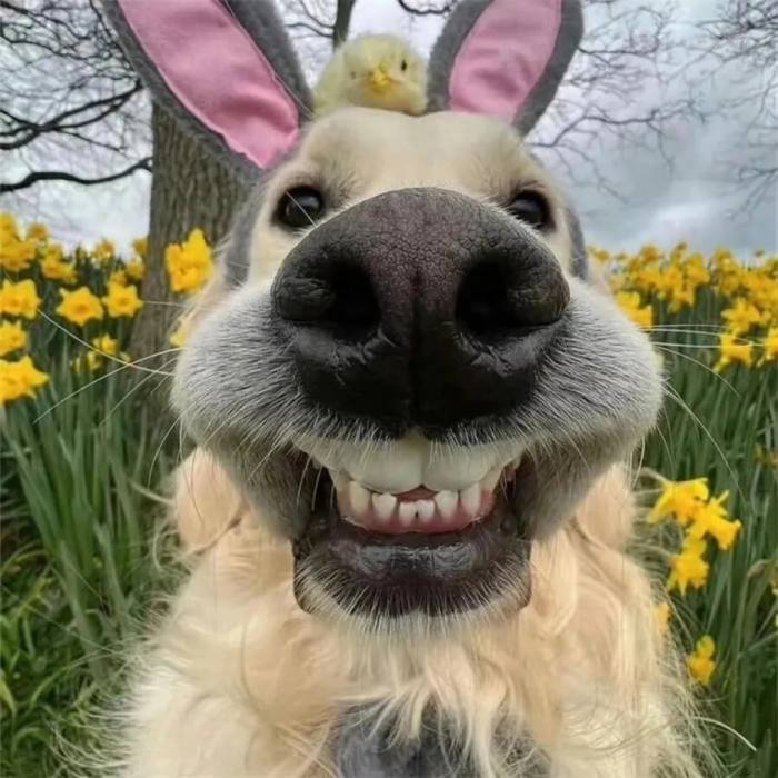 funny xbox profile pictures highlight a fun player vibe