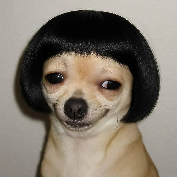 funny xbox profile pictures match a playful console look