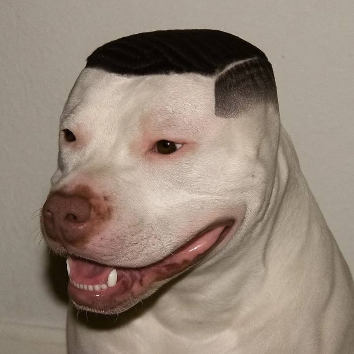 funny xbox profile pictures reflect joke driven gamer tone