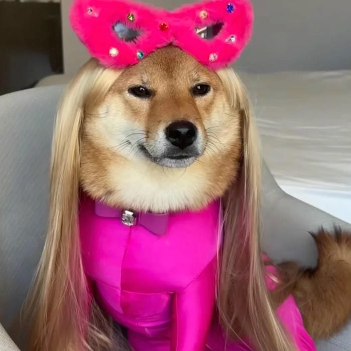 goofy dog funny pfp meme face