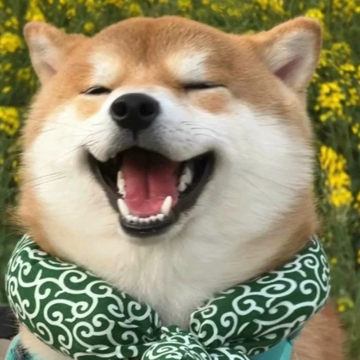 goofy dog pfp cartoon goofy style