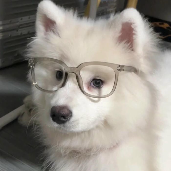 goofy dog pfp dumb adorable expression