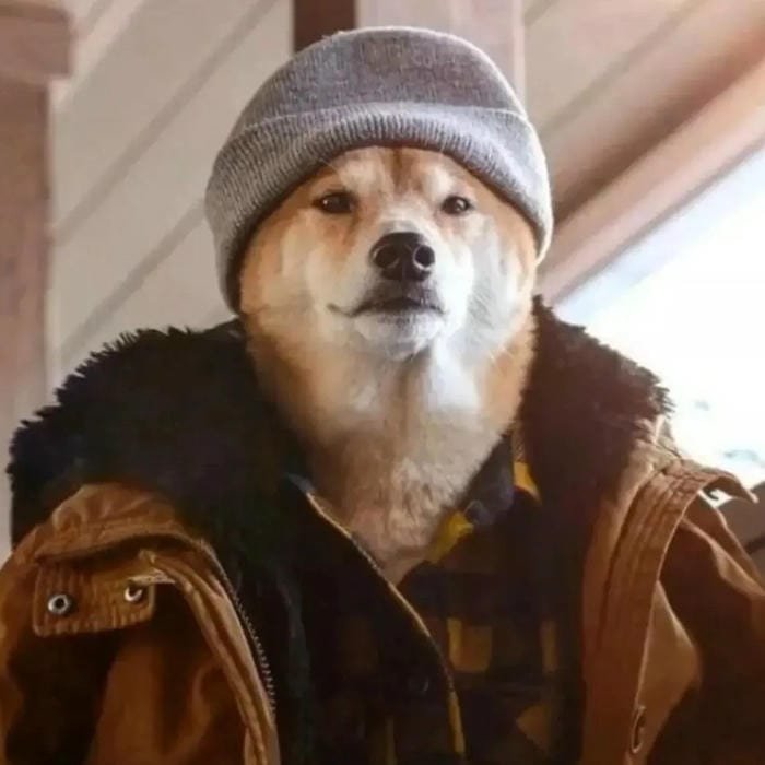 goofy dog pfp funny goofy grin