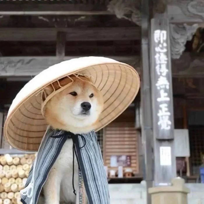 goofy dog pfp silly lovable dog