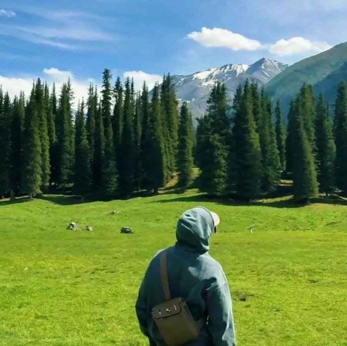 happy aesthetic pfp cheerful mood