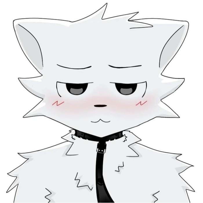 iconic meme face appears in boykisser pfp clearly