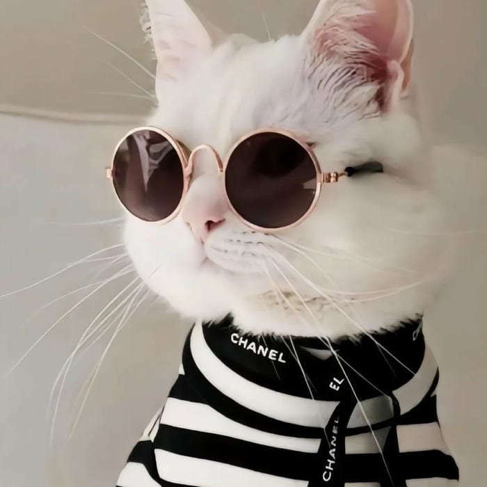 kawaii anime pfp pastel style