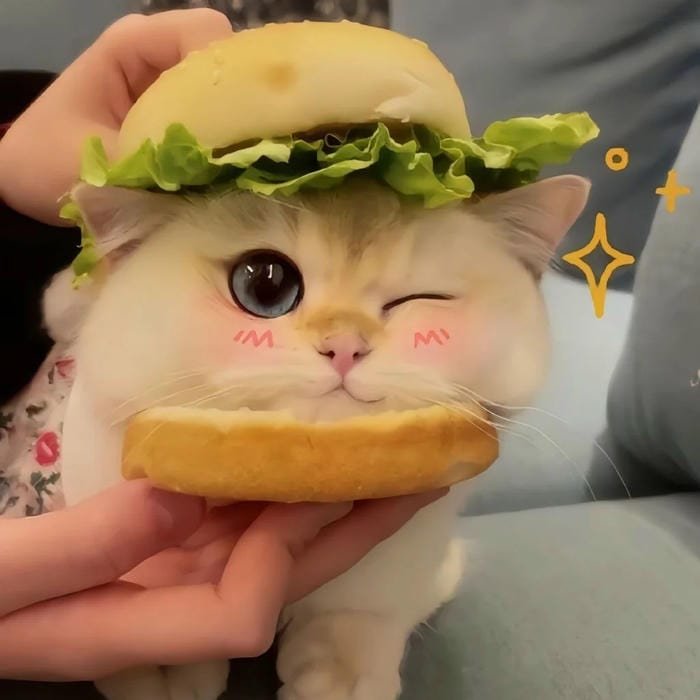 kawaii cute pfp gentle mood