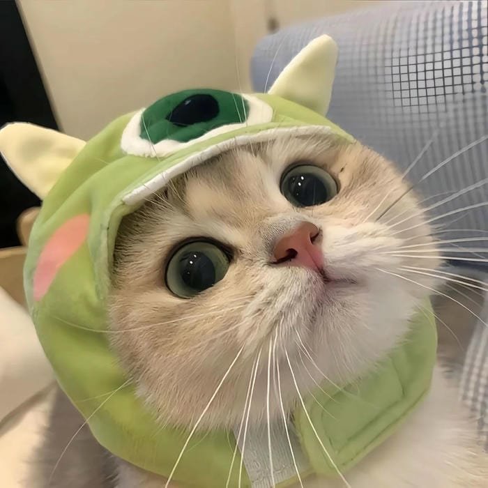 kawaii pfp adorable kawaii character