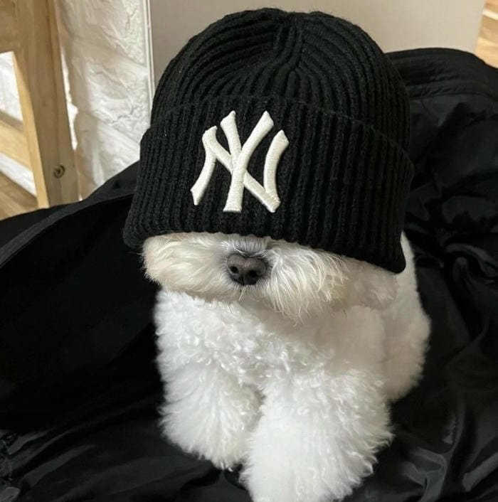 kawaii pfp cute innocent energy