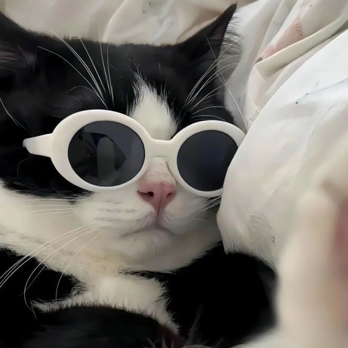 kawaii pfp gentle cute personality