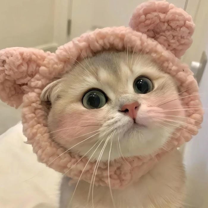 kawaii pfp soft lovely aesthetic