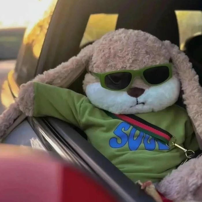 kawaii pfp sweet cheerful expression