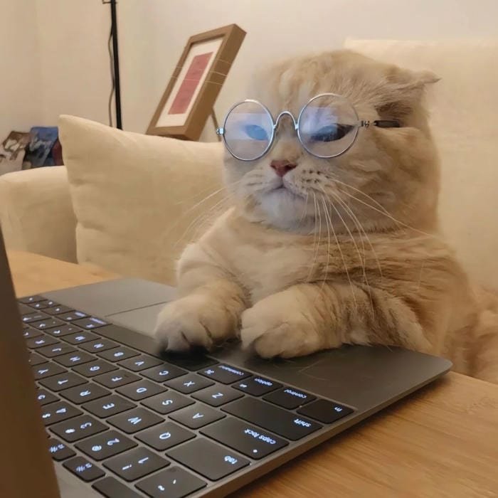 kawaii pfp sweet smiling vibe