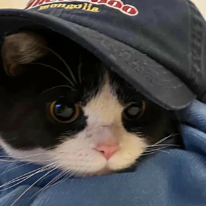 kawaii soft pfp lovely vibe