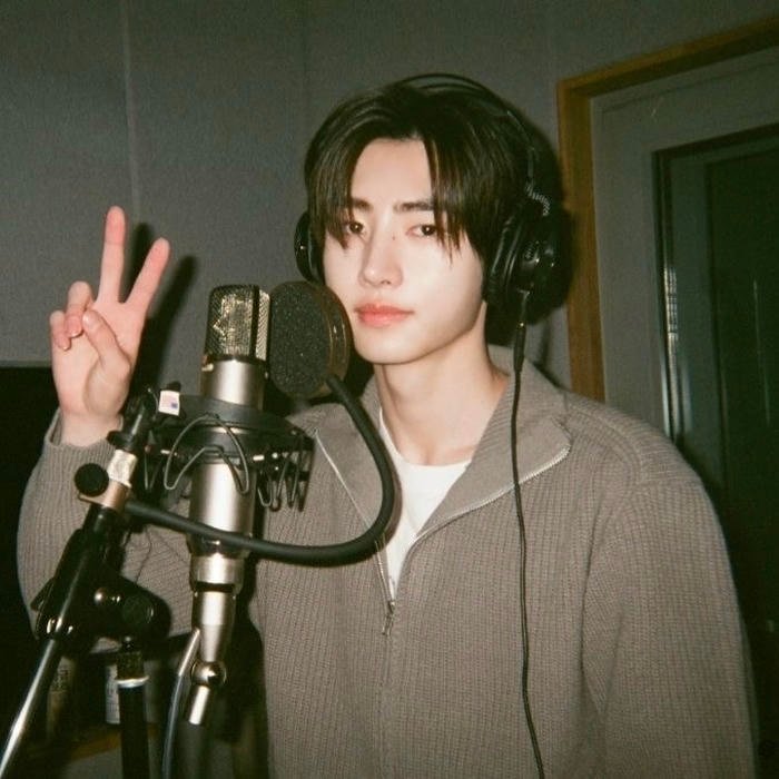 kpop aesthetic pfp linked to idol-inspired imagery