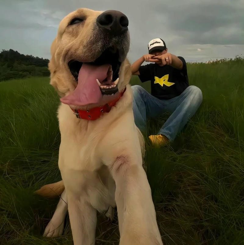 lofi mood pfp chill relaxing feeling