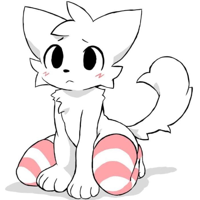 meme driven visuals dominate the boykisser pfp image