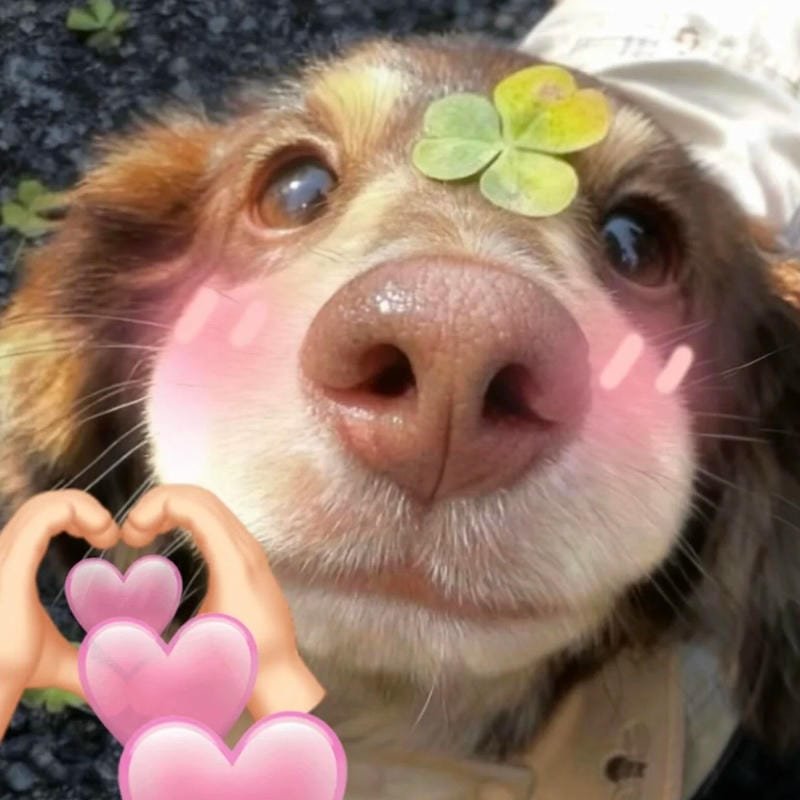 nature inspired pfp chill relaxing view