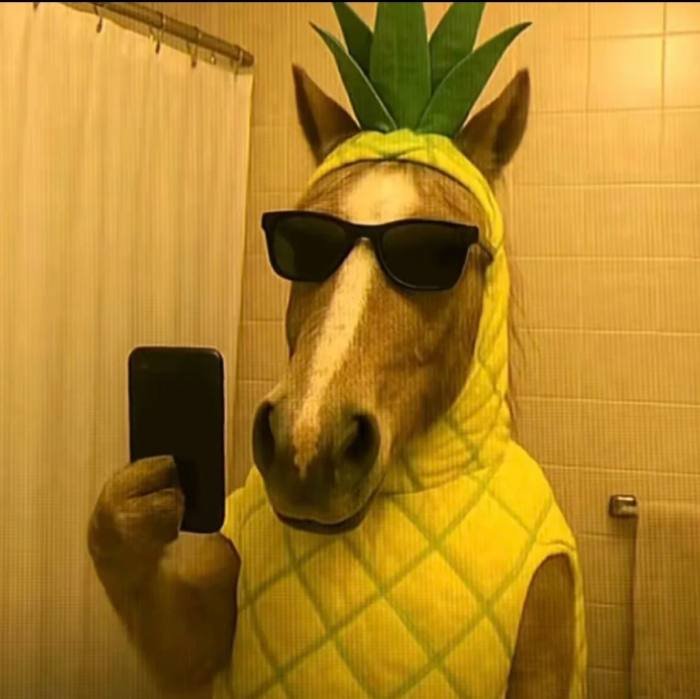 online gaming fun starts with funny xbox profile pictures