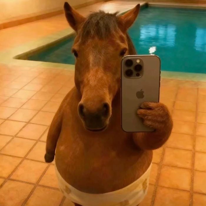 pastel kawaii pfp cozy mood