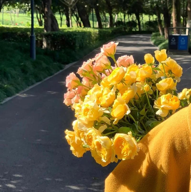 pastel tone pfp chill gentle atmosphere