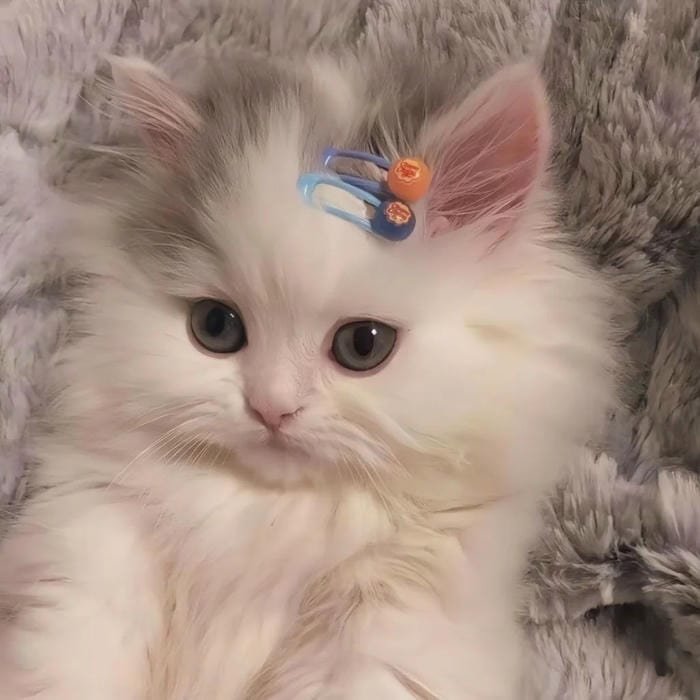 sweet kawaii pfp soft colors