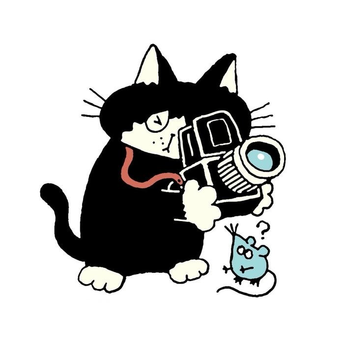 with quirky expression cartoon cat pfp