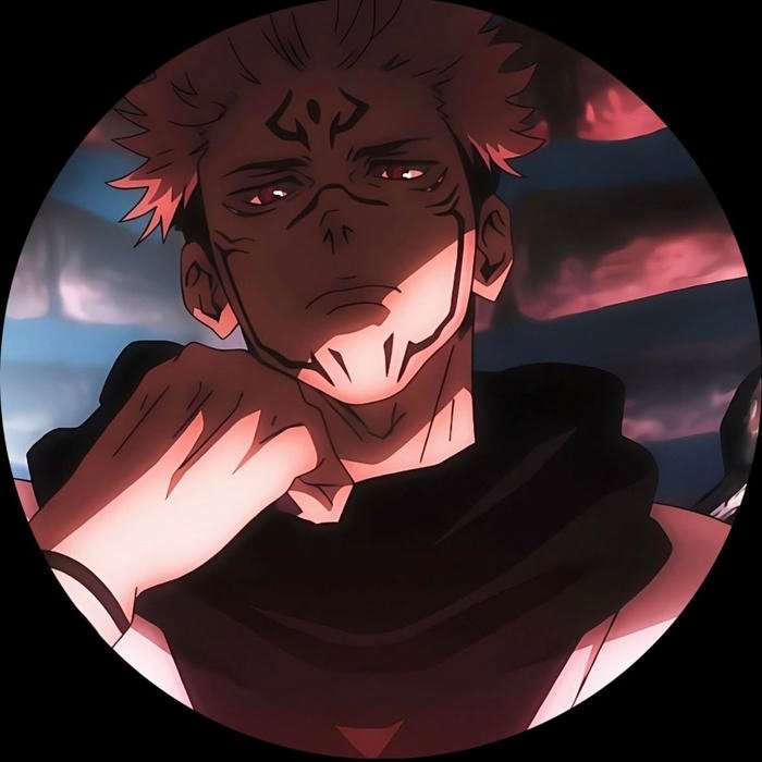 User focused pfp for guys supporting easy recognition