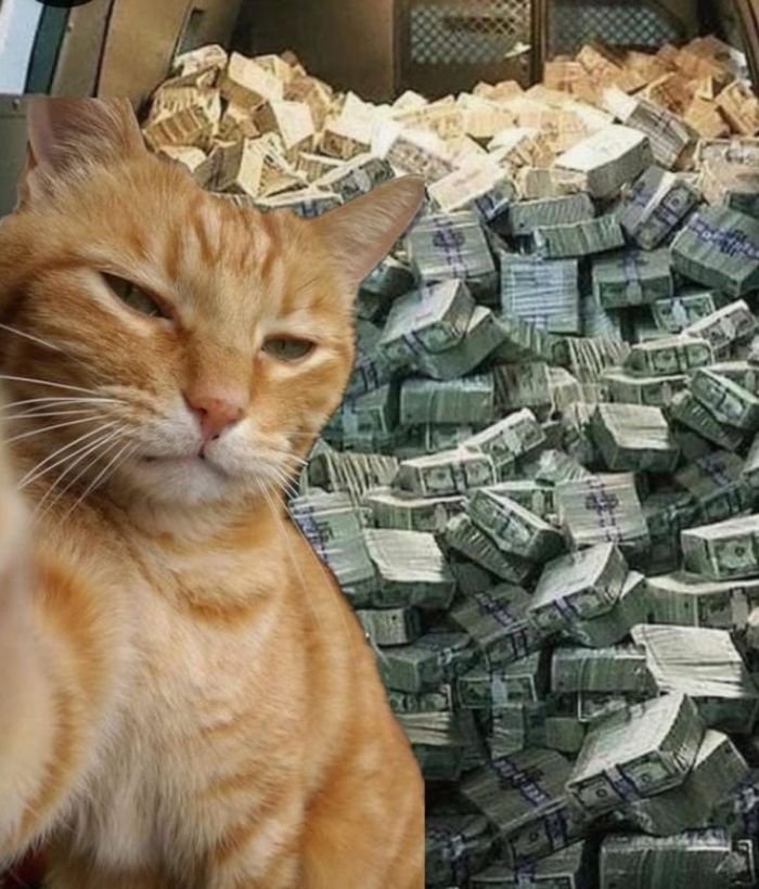 a chaotic profile picture idea using corny pfp aesthetics