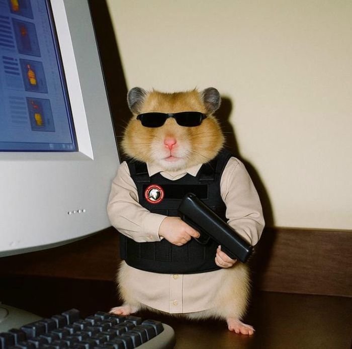 a playful online identity expressed through corny pfp