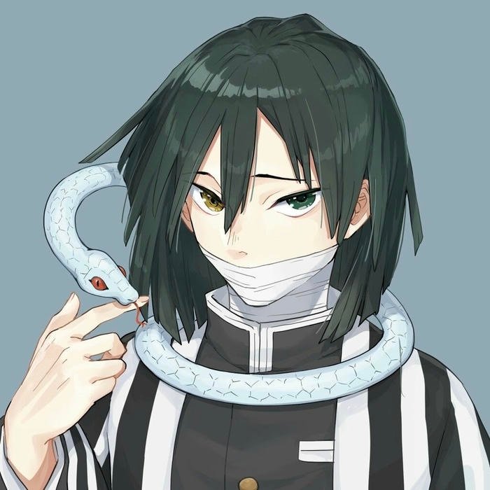 a sense of discipline dominates the obanai pfp