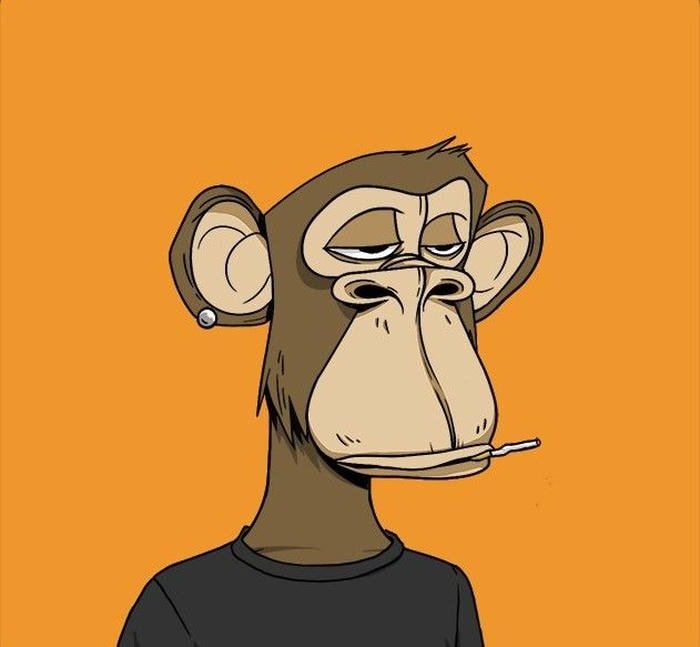 aesthetic monkey pfp with soft warm filter