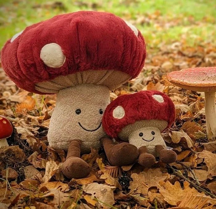 aesthetic mushroom pfp with dreamy woodland glow